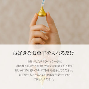 Logo Design テトラパッケージ 50セット【ロゴ入り】
