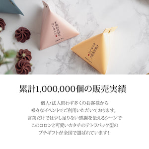 退職テトラパッケージ 48セット【名入れ可】